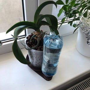 Изображение галереи