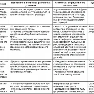 Дефициты питания — фото 2